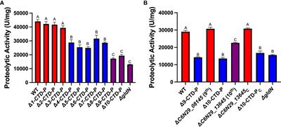 Secreted peptidases contribute to virulence of fish pathogen Flavobacterium columnare